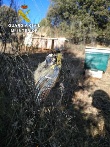 2020-10-29 Prensa red japonesa