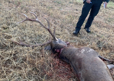 civervo guardia civil