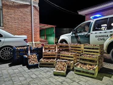 setas incautadas guardia civil