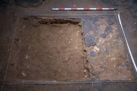 Foto 2. Cata Seno B Casares 2020