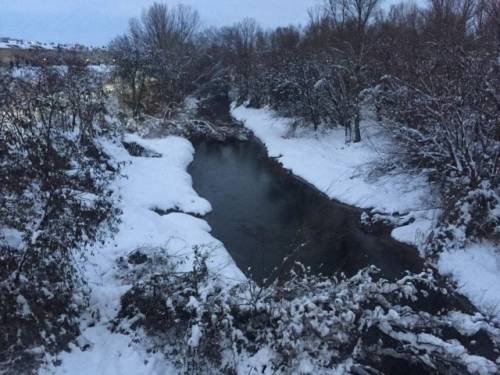 Foto tomada el 9 de enero