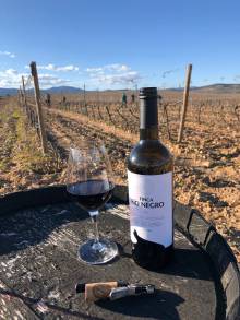ENOTURISMO FINCA RÍO NEGRO 2