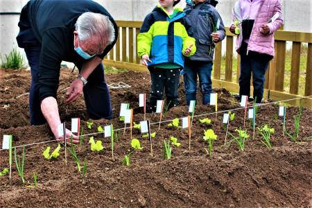 Huerto escolar CEIP Jocelyn Bell12