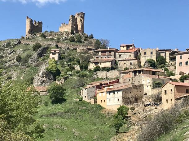 Pelegrina-castillo 2