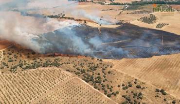 Incendio El Casar Montecalderón 2