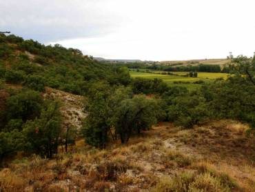 Valle del Río Cañamares 2