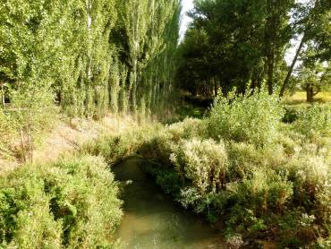 Valle del Río Cañamares 3