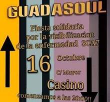 Guadasoul 1 1
