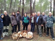 Ruta micológica Setas Foto Asociación Aquaignis