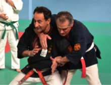 Nihon Tai Jitsu Alovera 1