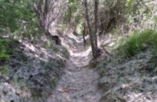 Captura de pantalla 2022-01-07 a las 11.29.08