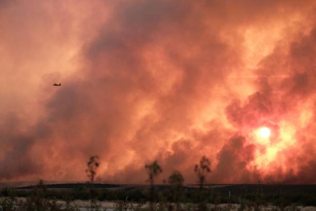 Incendio Sierra Norte  - Segunda Galería Eduardo Bonilla 2