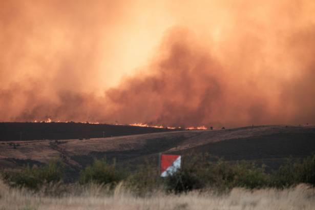 Incendio Sierra Norte  - Segunda Galería Eduardo Bonilla 5