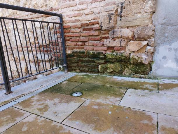 humedades san gil jardin vertical