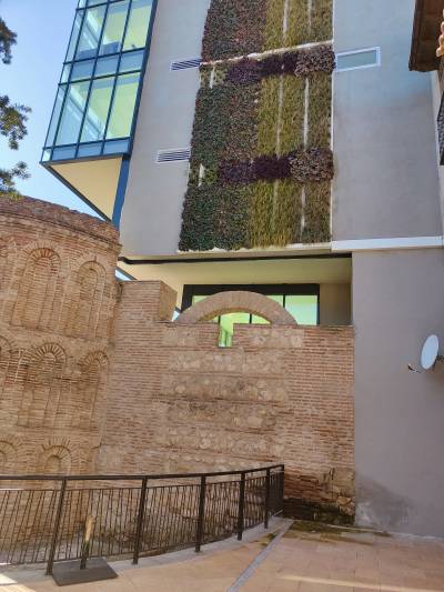 jardin vertical humedades san gil