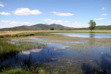 Sierra Norte de Guadalajara Laguna Tamajón Ocejón