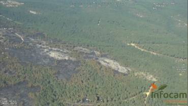 Zona quemada. Foto: Infocam Incendio Sierra Norte zona quemada