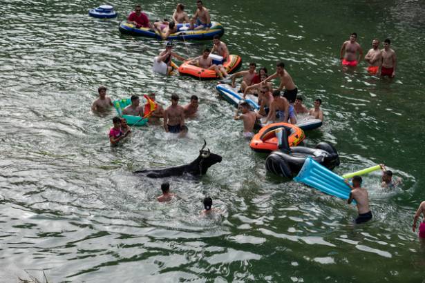 vacas tajo trillo 2022-2