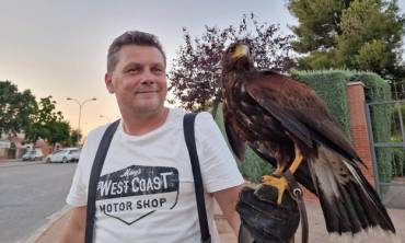 Cabanillas VUELOS HALCON CETRERO PALOMAS 11