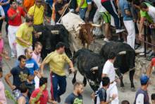 Encierro Brihuega 2013