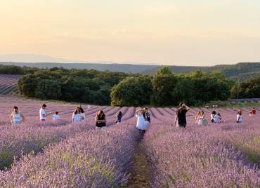 lavanda brihuega gente 4