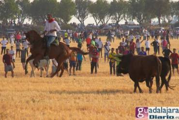Encierro Brihuega 2022 21 lex Jimnez - GUdiario-610x407
