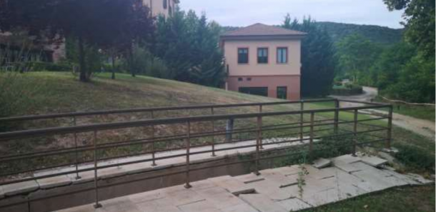 alberca balneario trillo