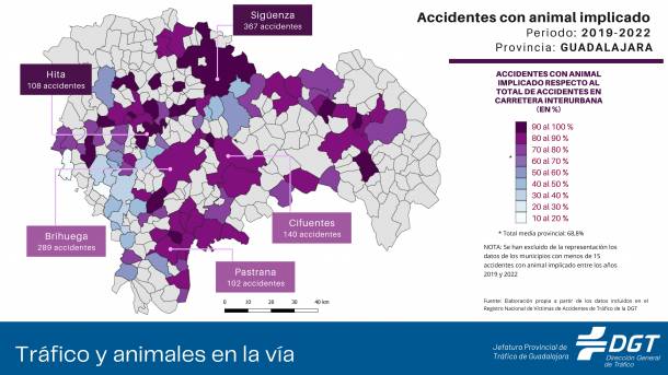 accidentes animales 2019-2022