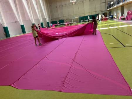 Lazo Rosa Tetas Viana Guinness 1