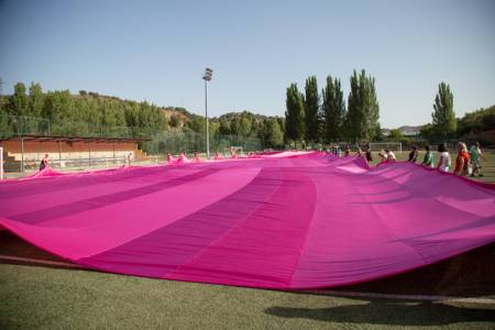 Lazo Rosa Tetas Viana Guinness 2