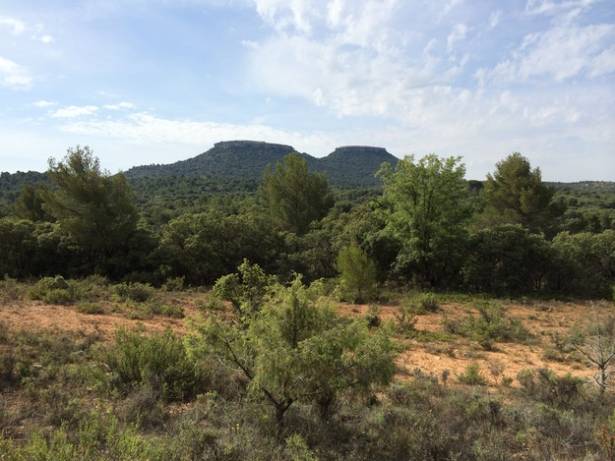 Lazo Rosa Tetas Viana Guinness 3