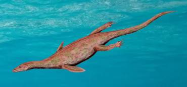 Notosaurio Wikipedia