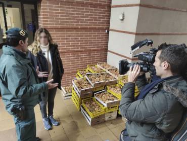 Guardia Civil níscalos cogolludo 2 1