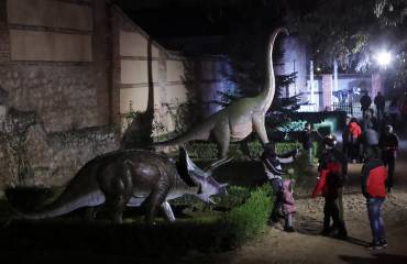 Jardín Mágico Navidad 2022 2