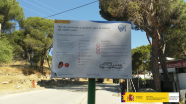 Mejillón Cebra Cartel plan de prevención