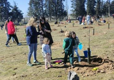 Plantación árboles niños Finca Castillejos 1