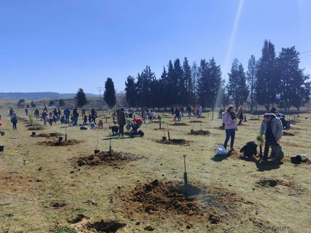 Plantación árboles niños Finca Castillejos 2