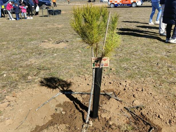 Plantación árboles niños Finca Castillejos 4