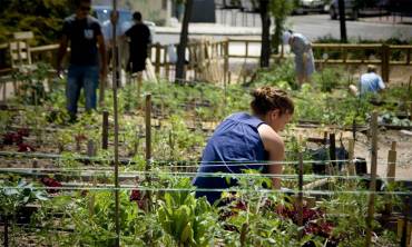 huerto urbano