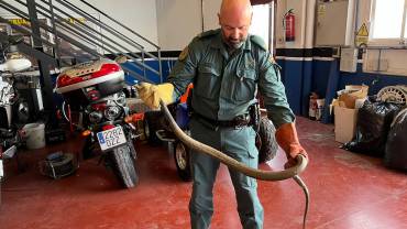 SEPRONA Guardia Civil CULEBRA