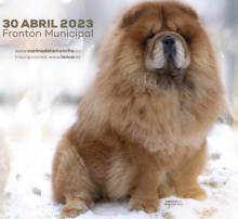 CARTEL-CERTAMEN-CANINO Cabanillas 1 1