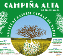 CARTEL FIESTA def-08 1 1