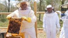 Hercesa ABEJAS 2024 8