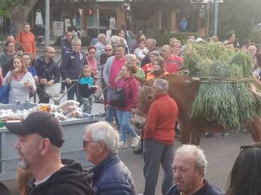 IMG 20230515 191214 2