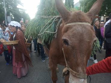 IMG 20230515 191928 1