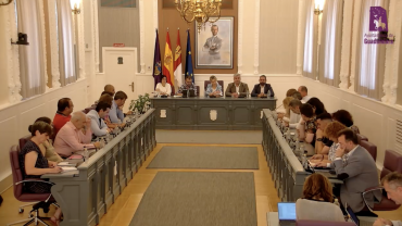 pleno ayuntamiento guadalajara
