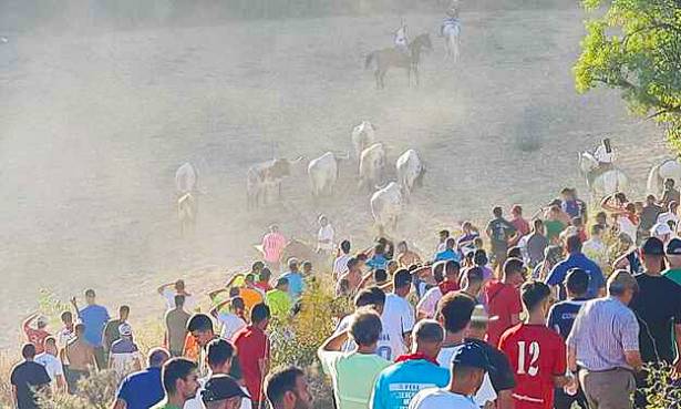 Encierro de Brihuega Foto Félix Calvo 2 1