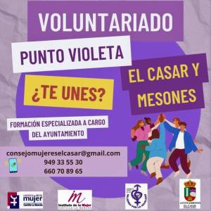 ayuntamiento-el-casar-voluntariado-fiestas-patronales Punto Violeta 1