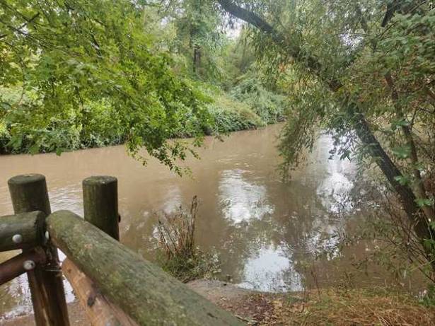 Tormenta DANA -SPT Río Henares Chopera Parque del Río