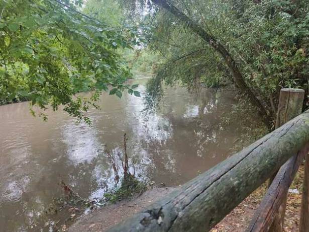 Tormenta DANA -SPT Río Henares Chopera Parque del Río 2